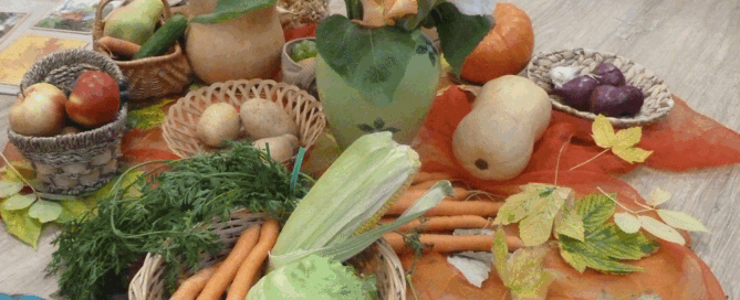 1bis3_klosterneuburg_Erntedank25_13